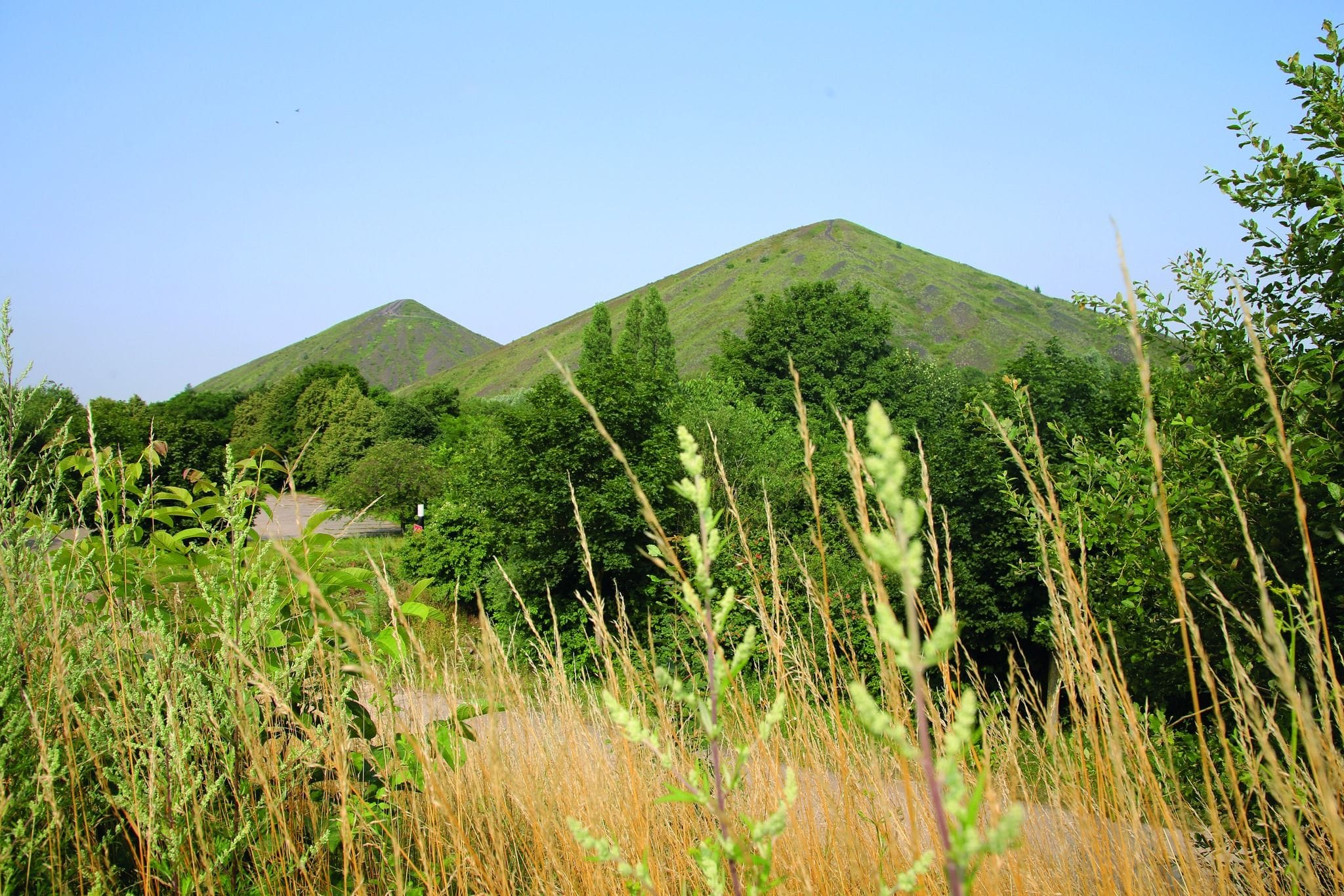 Randonnée de la Gohelle