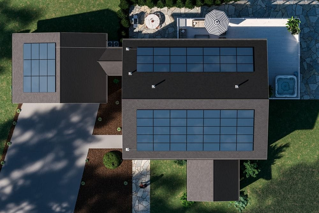 Palmetto | Instant Design