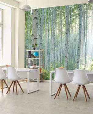 forest wallpaper mural in SEN school