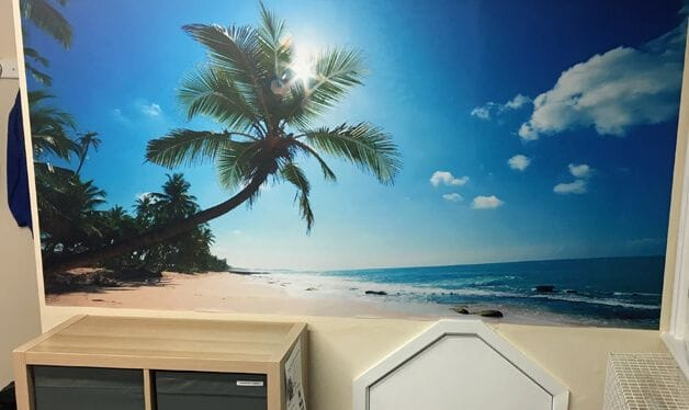 tropical beach wallpaper mural for carfield primary school