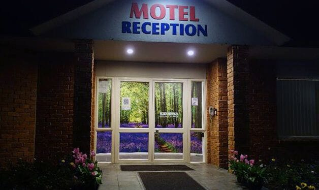 lavender forest wall mural for a motel reception