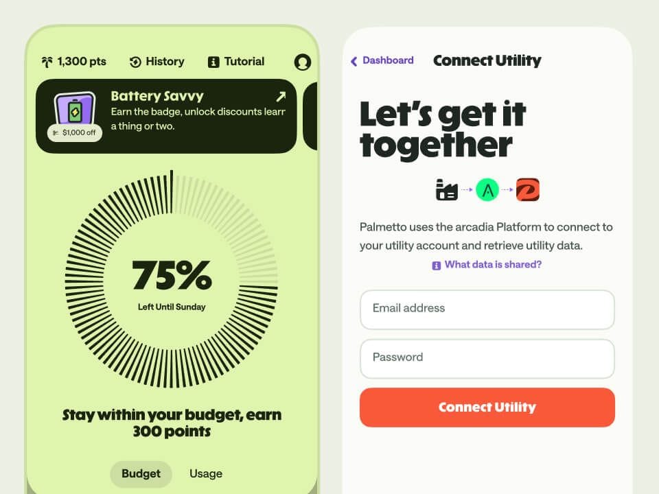 Screenshots of usage tracking in the Palmetto App