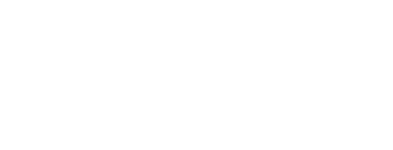 Stern Insider Connected Logo