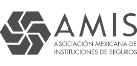 Asociación Mexicana de Instituciones de Seguros (AMIS)