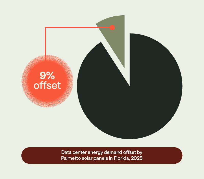 A pie chart showing 9% offset in Florida