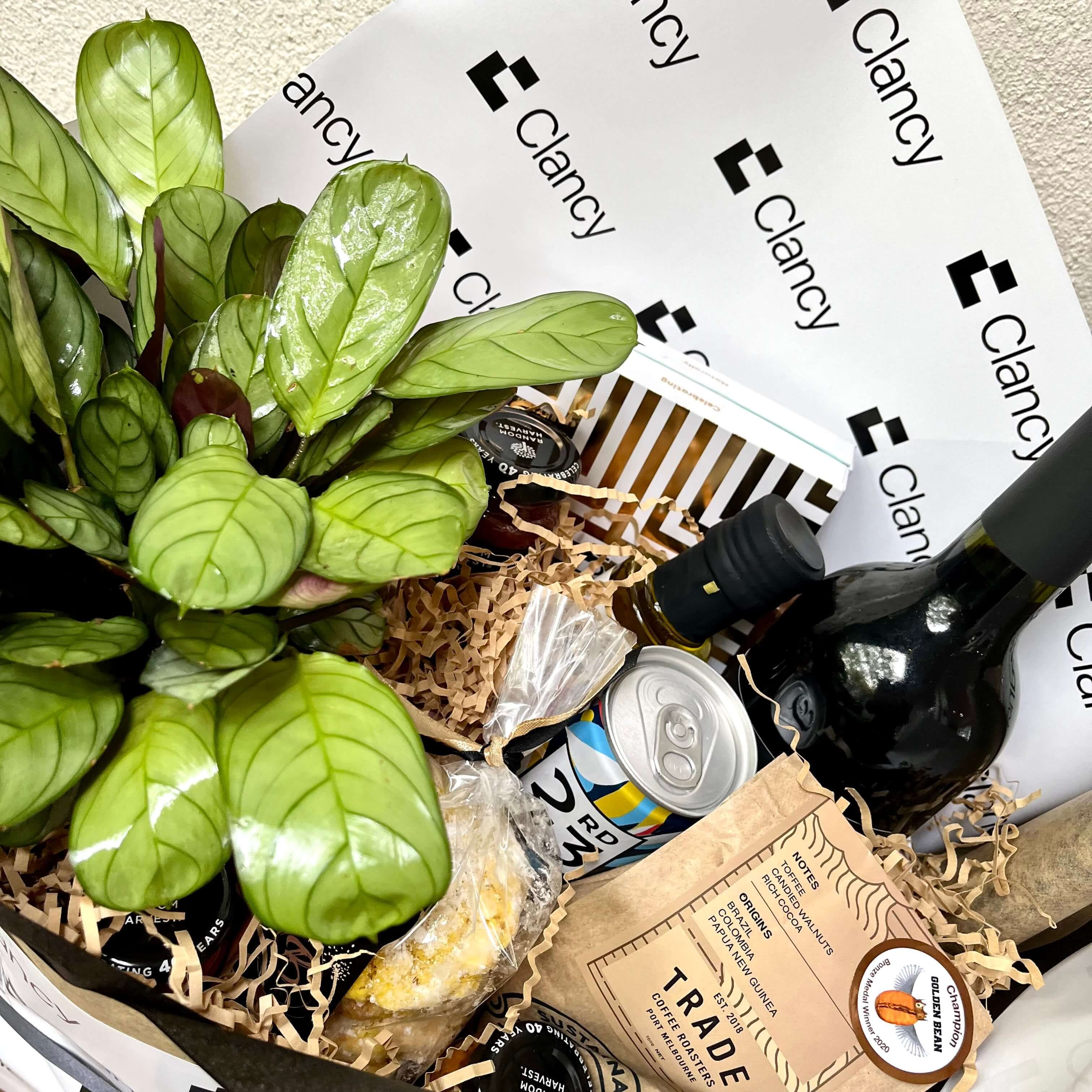 Gift box with plant and wine