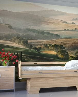 landscape wallpaper mural in a care home bedroom