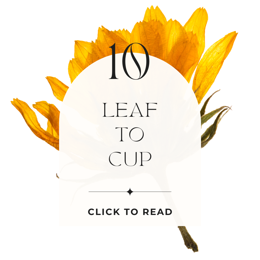 Day 10 - - 30 Days of Tea Challenge floral infographic
