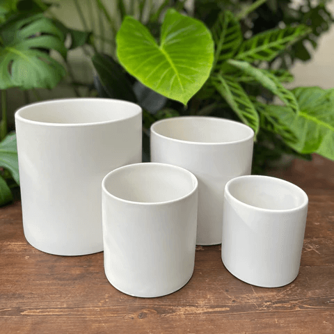 White plant pots