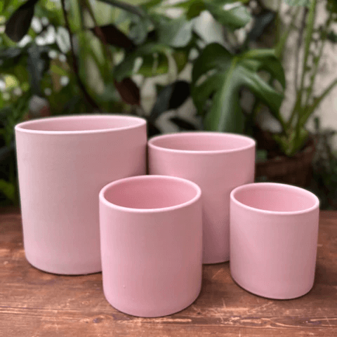 Pink plant pots