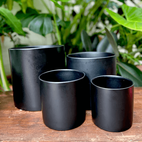 Black plant pots